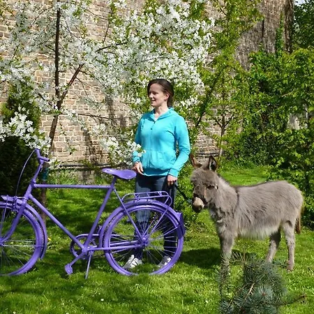 Garni Lavendelhof Hotel Nauen